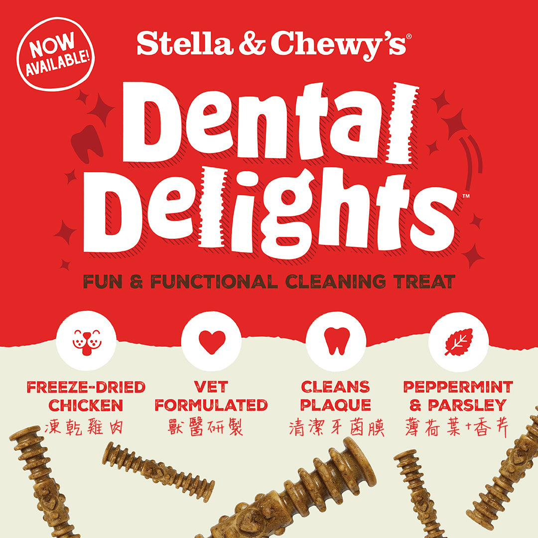 Stella &amp; Chewy's Dental Delights Freeze-Dried Free Range Chicken 4-in-1 Fun Toothbone