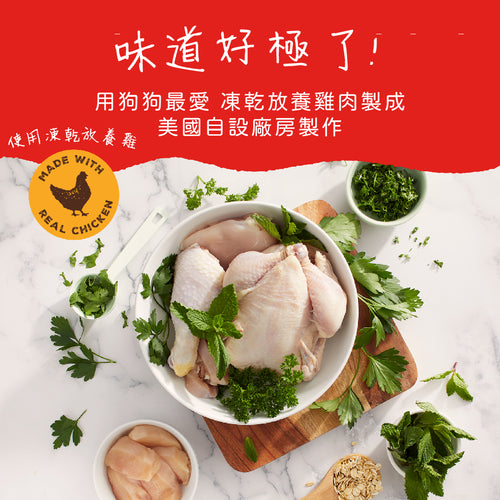 Stella &amp; Chewy's Dental Delights Freeze-Dried Free Range Chicken 4-in-1 Fun Toothbone