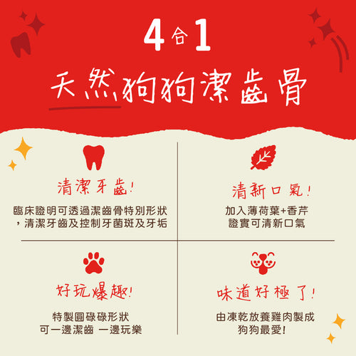 Stella &amp; Chewy's Dental Delights Freeze-Dried Free Range Chicken 4-in-1 Fun Toothbone