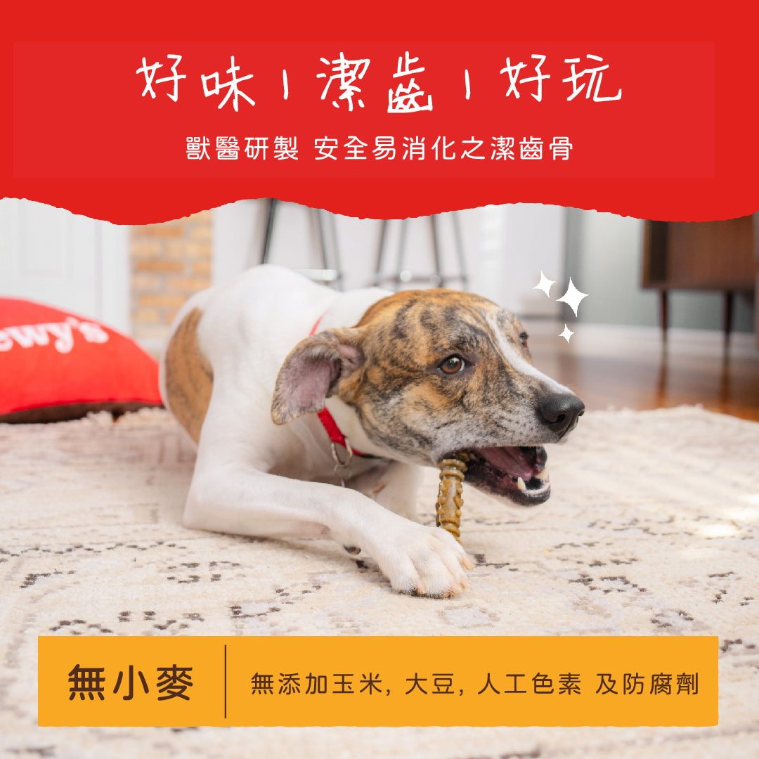 Stella &amp; Chewy's Dental Delights Freeze-Dried Free Range Chicken 4-in-1 Fun Toothbone