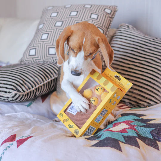 Woof² Egg Puff/ Waffle 2-in-1 Nose-work Pet Toy