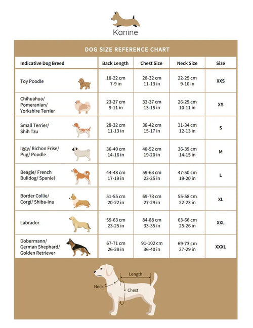 Wonder Woman Dog Costume (2024 Edition)