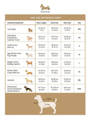 The Official Spurs Pet Kit