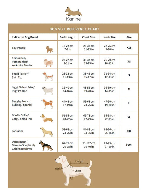 The Official Spurs Pet Kit