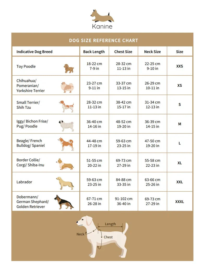 The Official Spurs Pet Kit