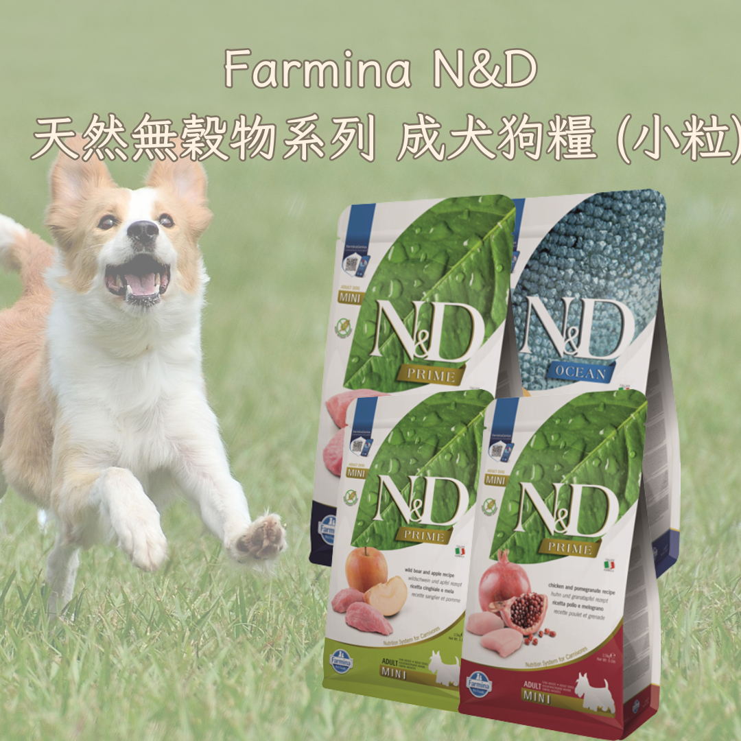 Farmina N&D 天然無穀物系列 成犬狗糧 (小粒)