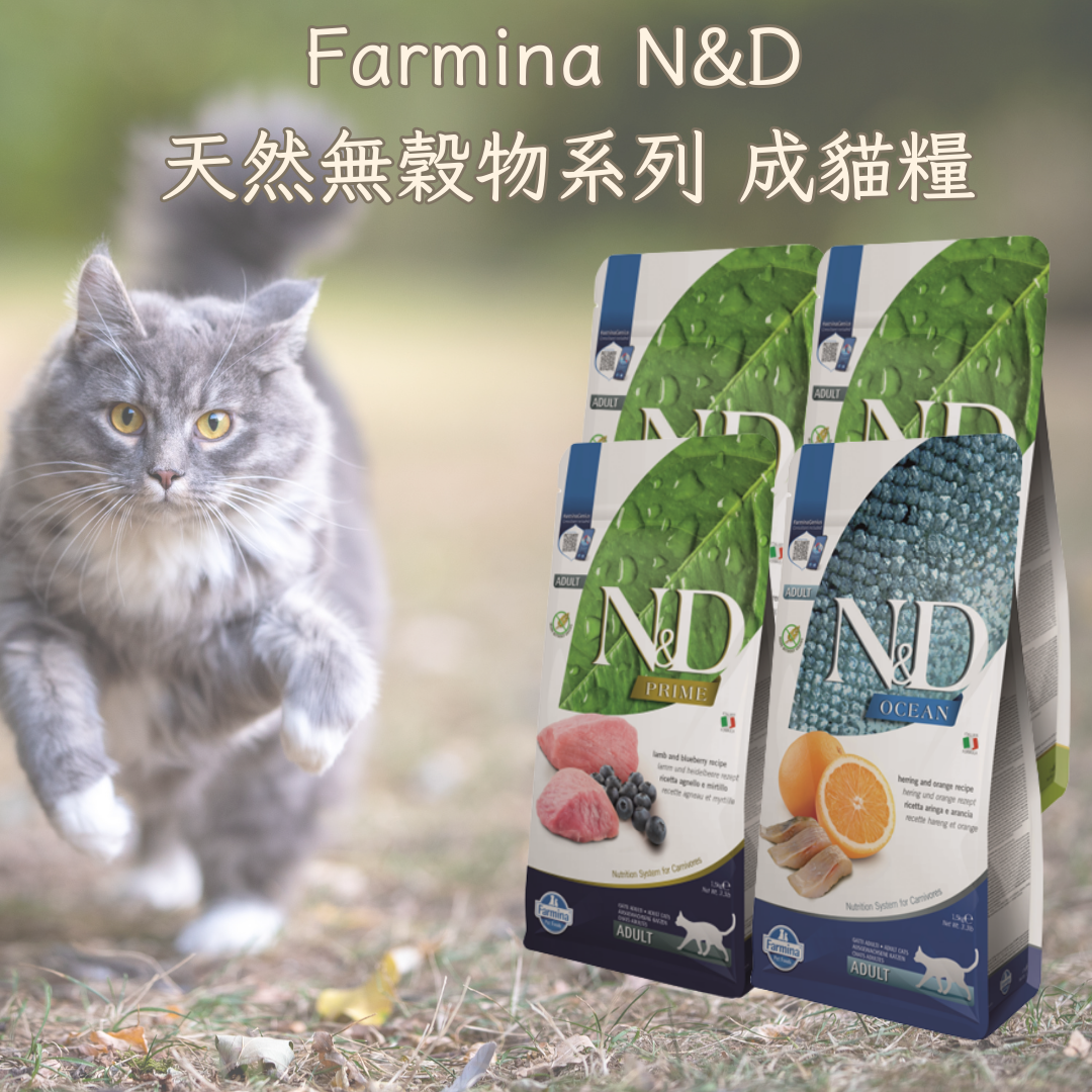 Farmina N&D 天然無穀物系列 成貓糧
