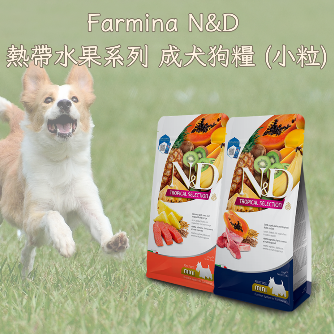 Farmina N&D 熱帶⽔果系列 成犬狗糧 (小粒)