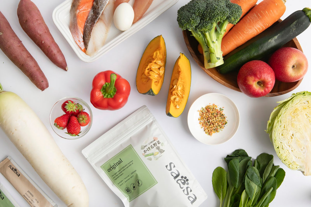 saesa Additive-Free Vegetable Topper 日本製狗狗風乾蔬菜 5g × 10小包