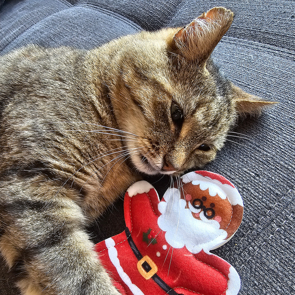 4cats - X-Mas Style Valerian (貓纈草
