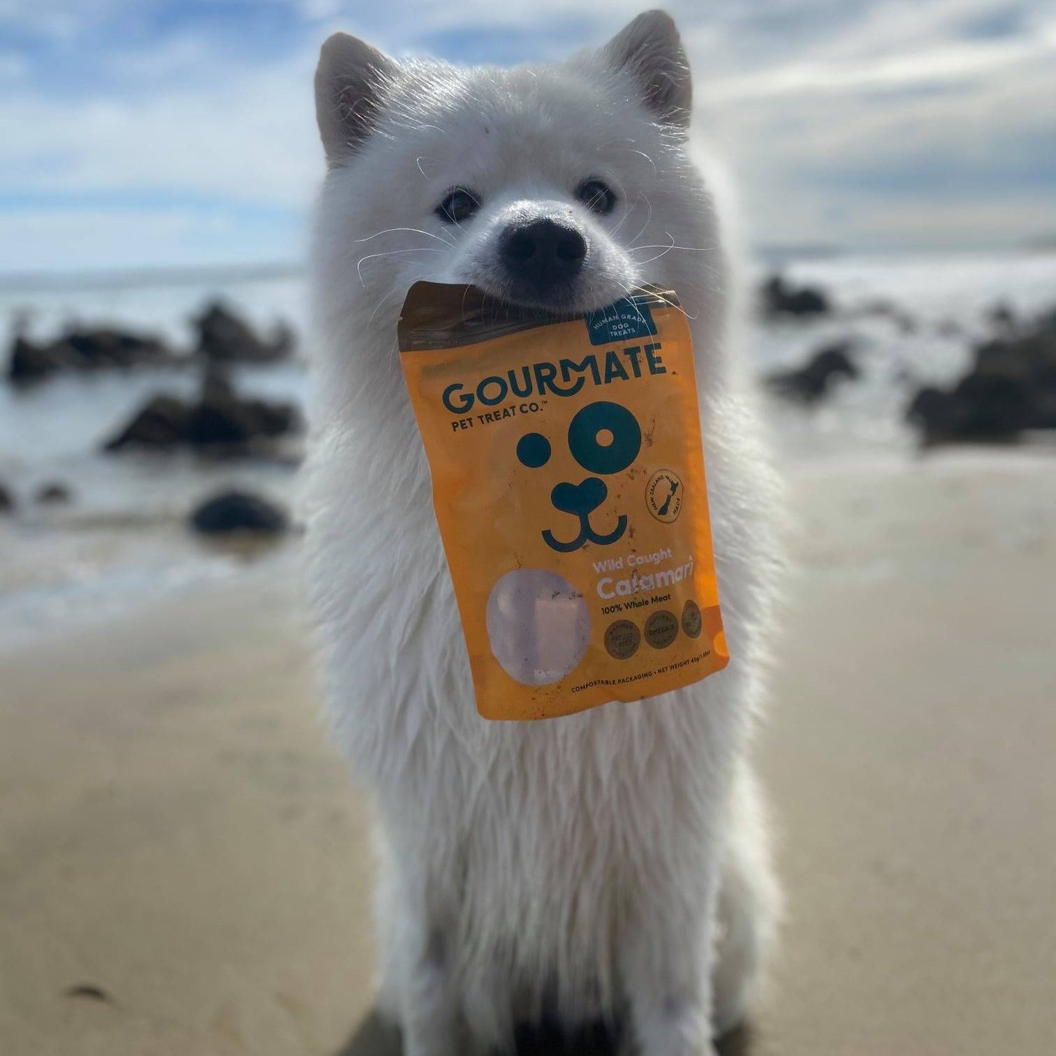 Gourmate 100% 紐西蘭帝王三文魚腩邊100g (GMT05) - 幸福站