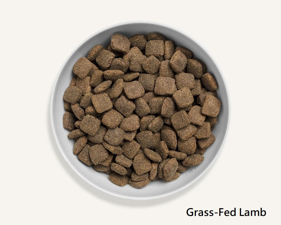 Canagan 無穀物狗糧 (全犬糧)