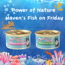 Power of Nature 貓便當 Haven's Fish on Friday
