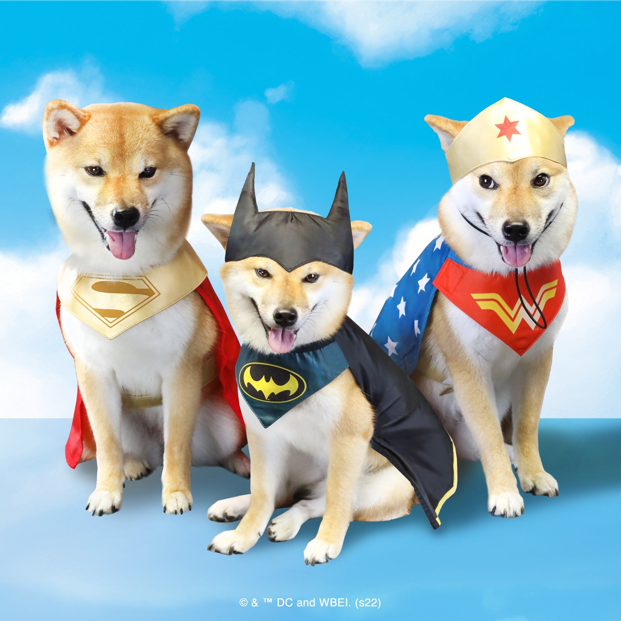 Super-Pets Dog Costume