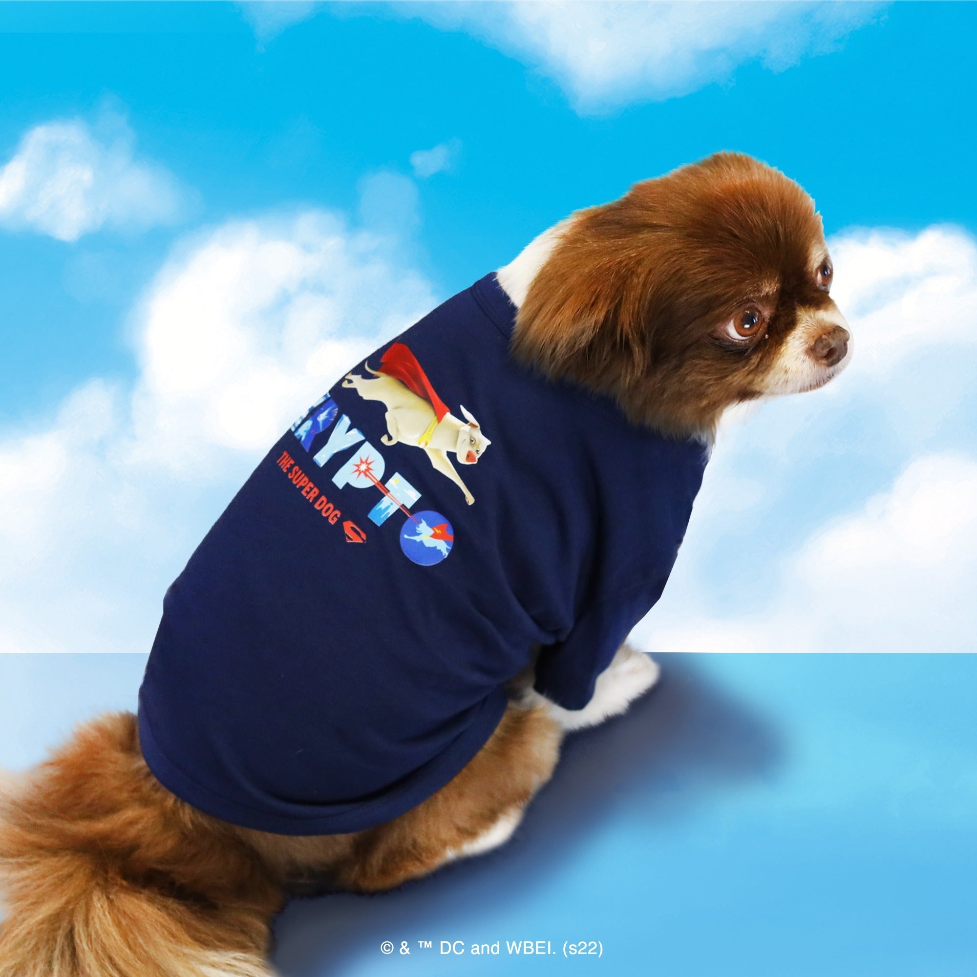 Super-Pets 超級英雄 T-Shirt