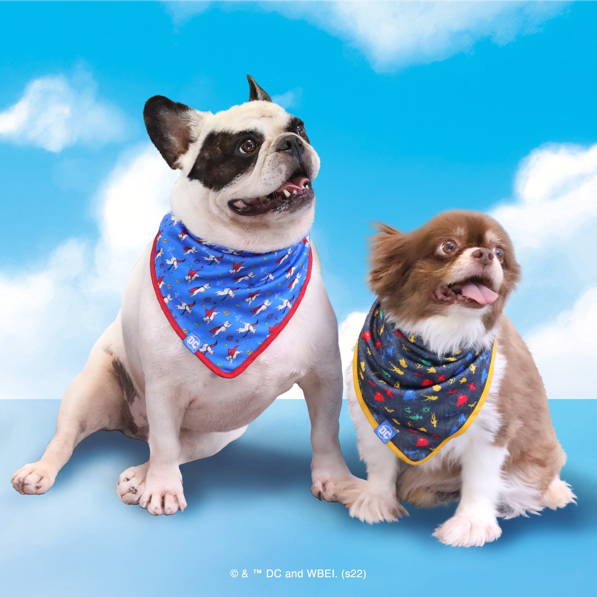 Super-Pets Bow and Bandana