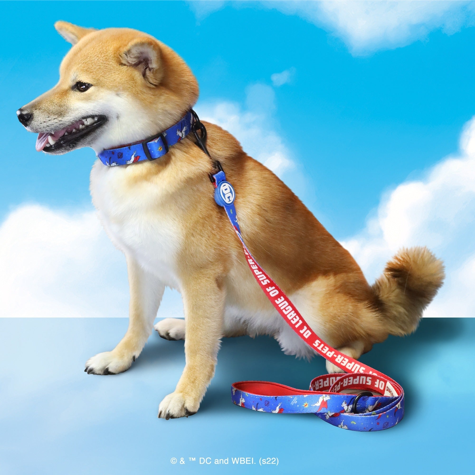 Super-Pets Leash