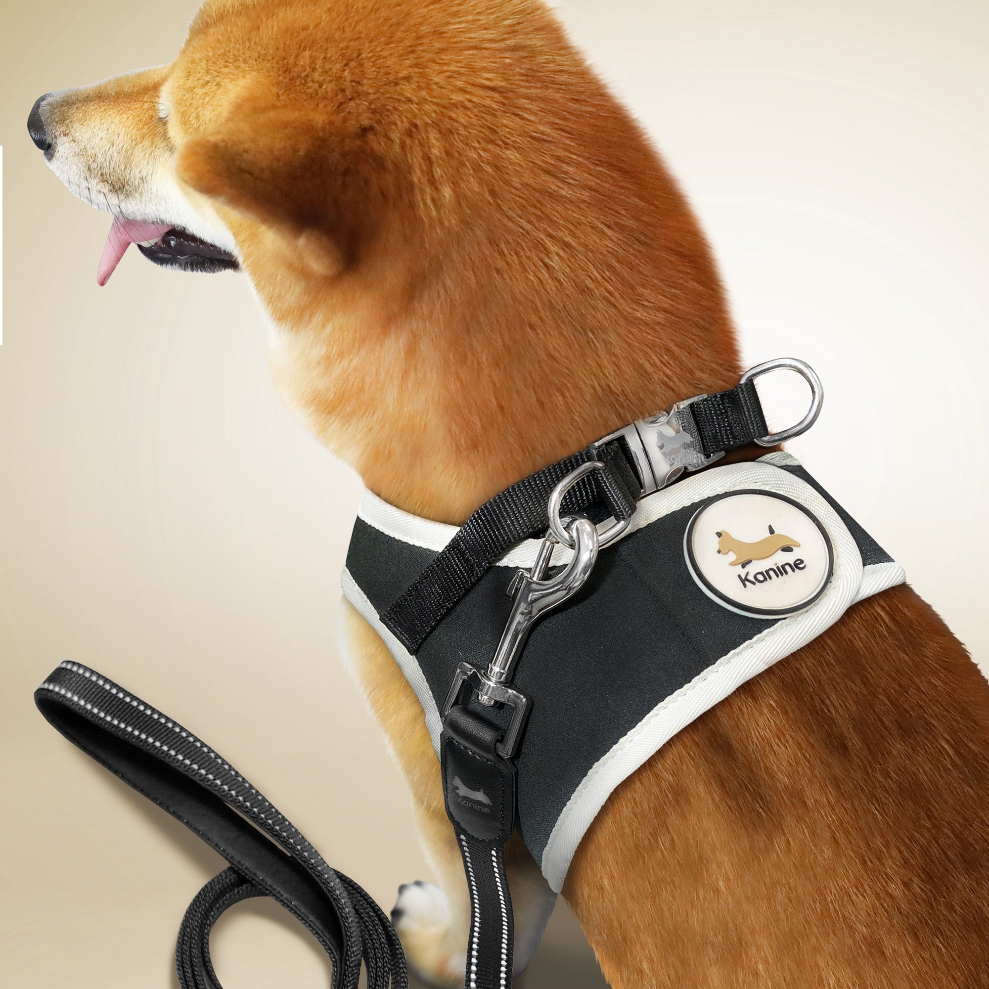 Kanine Harness & Leash Set