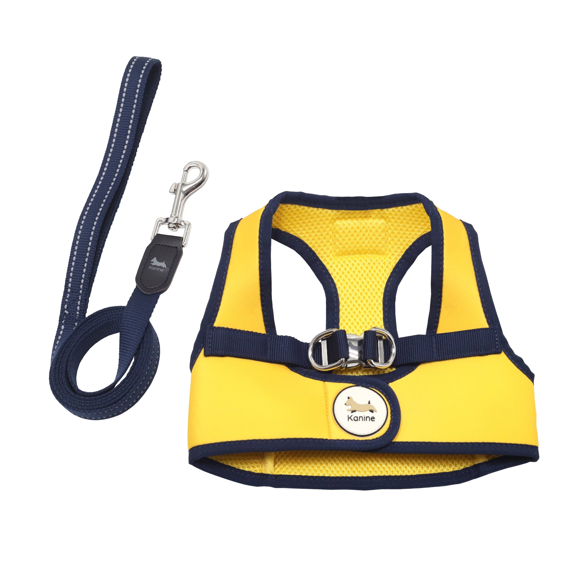 Kanine Harness & Leash Set