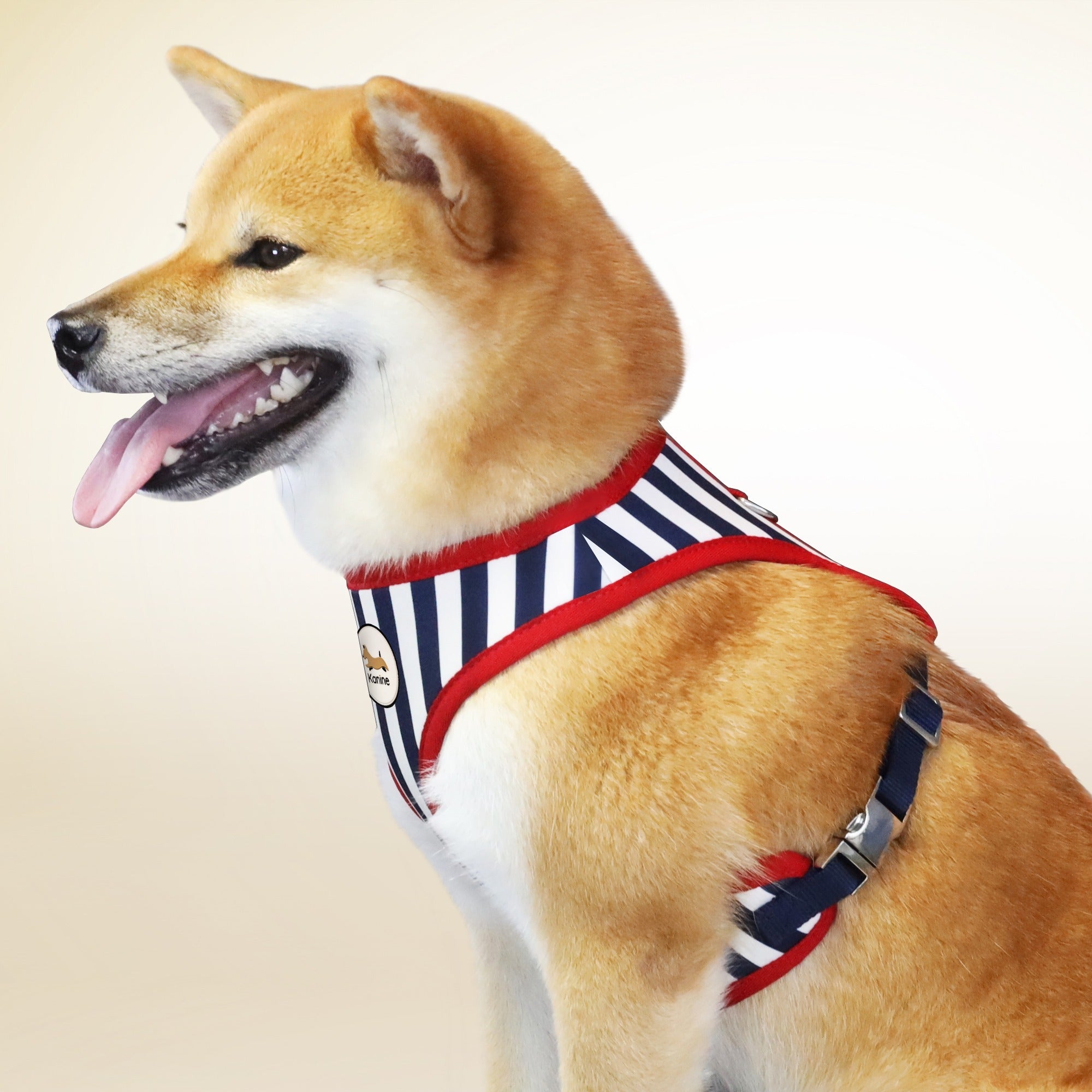 Kanine Stripe Harness 胸帶