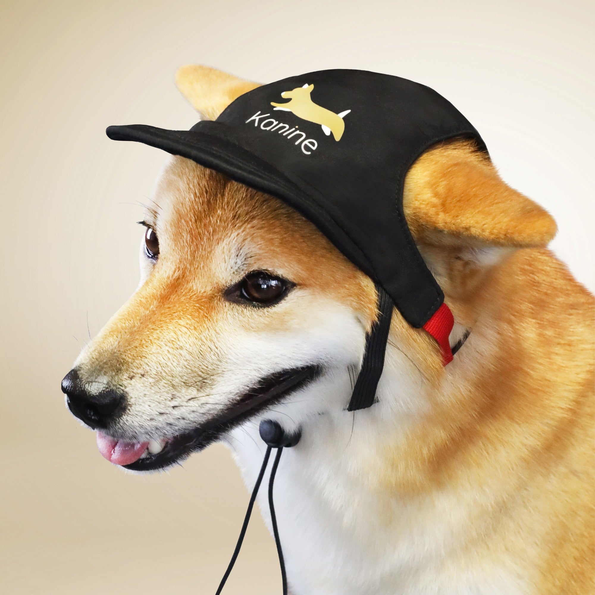 Kanine Cap 帽