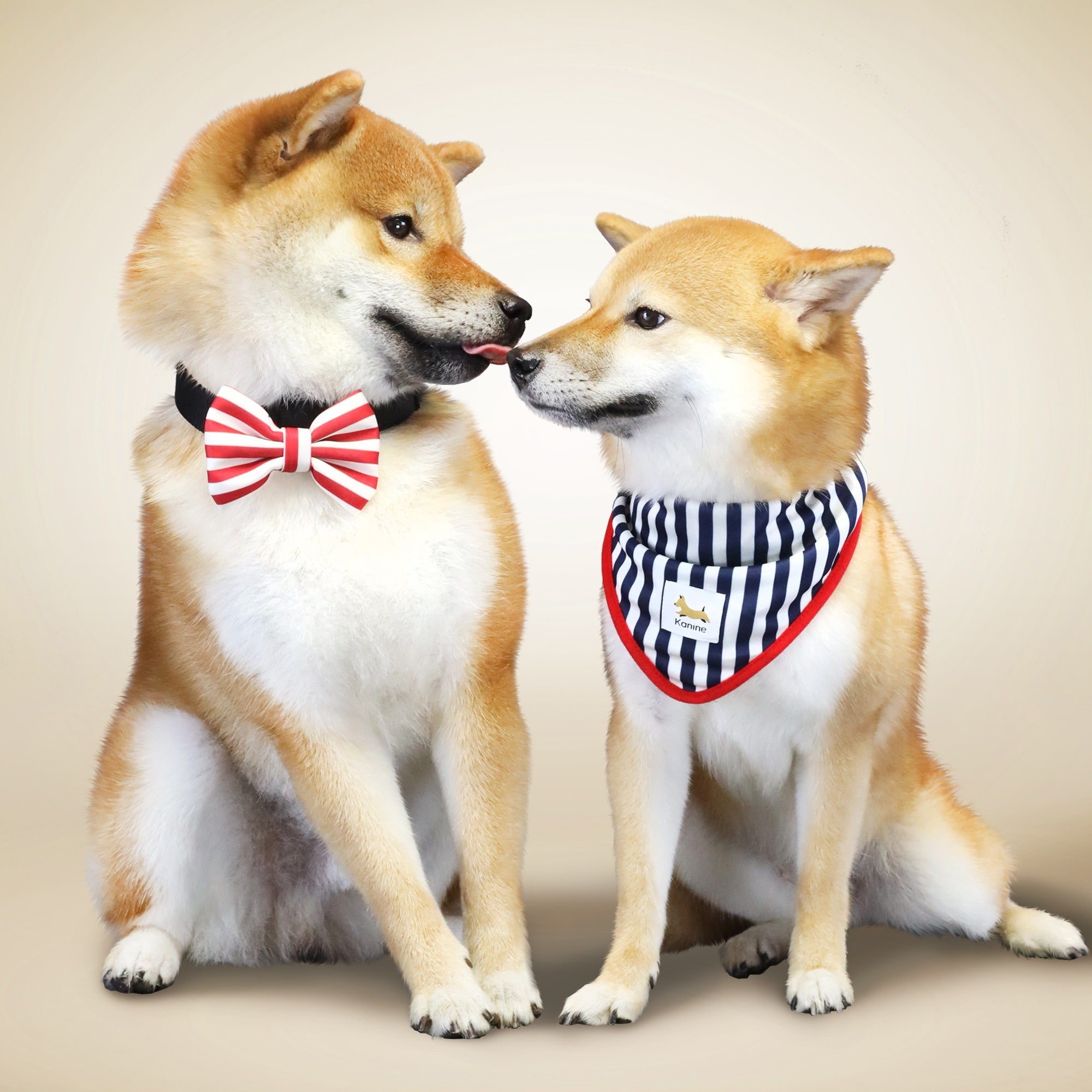 Kanine Bandana and Bow Set 圍巾配 Bow Tie