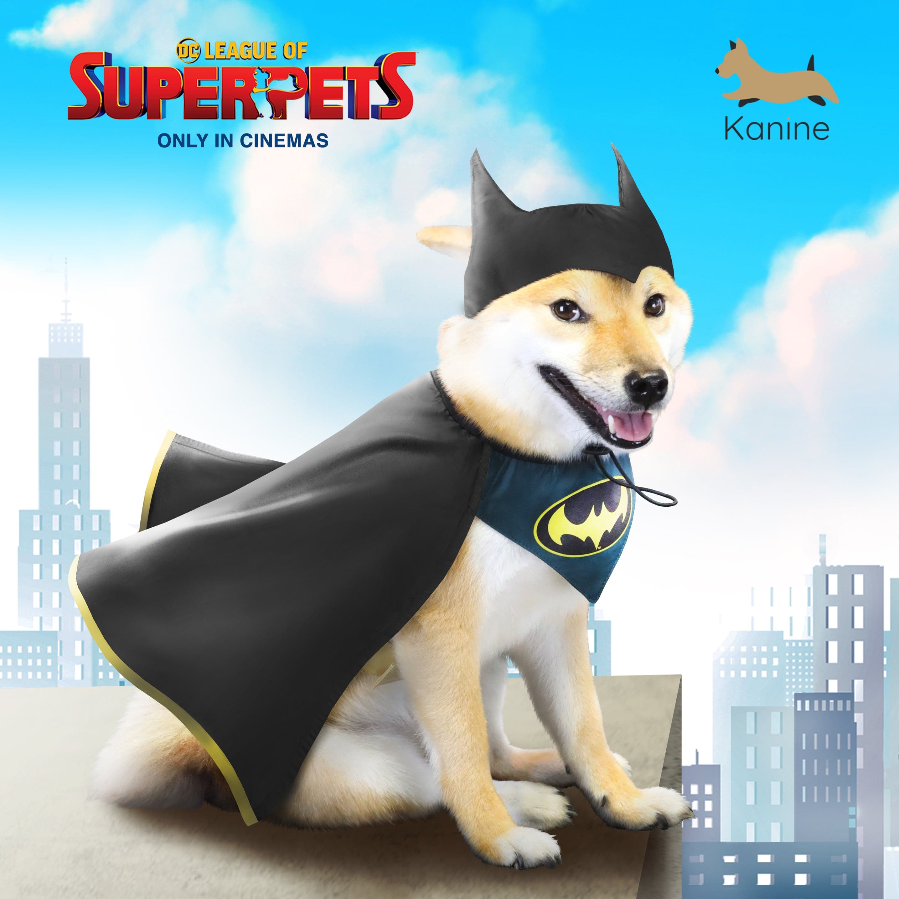 Super-Pets 超級英雄變裝