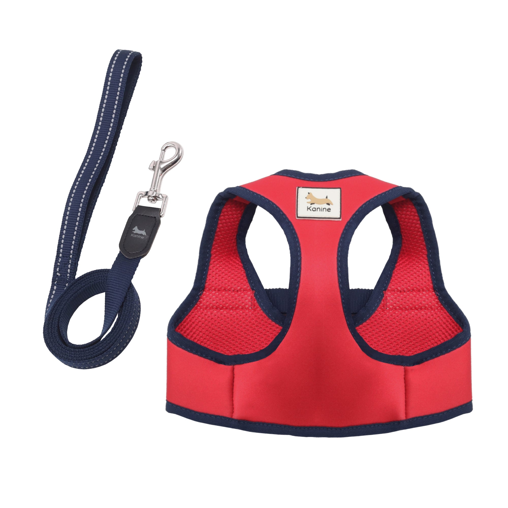 Kanine Harness & Leash Set