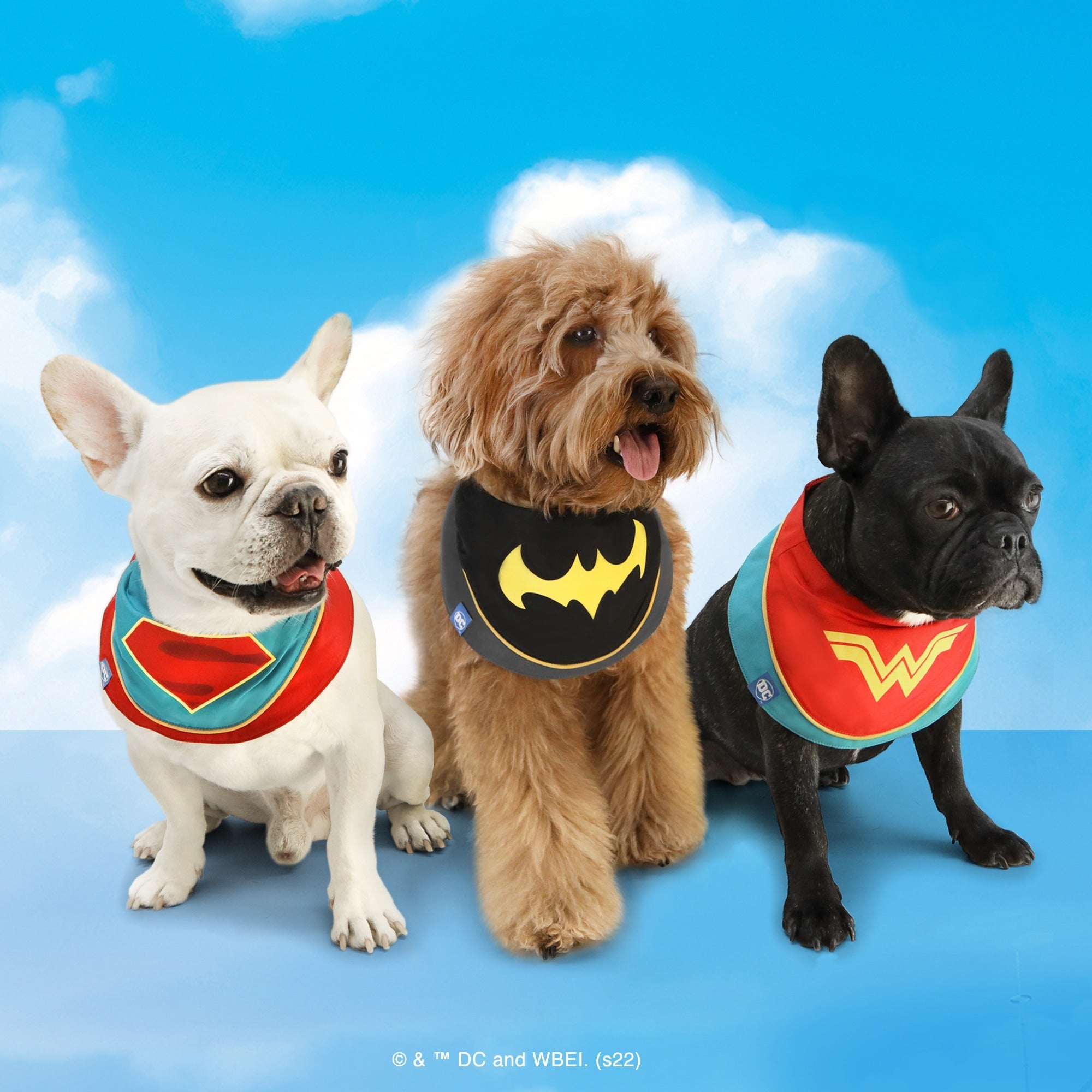 Super-Pets Hero Bib