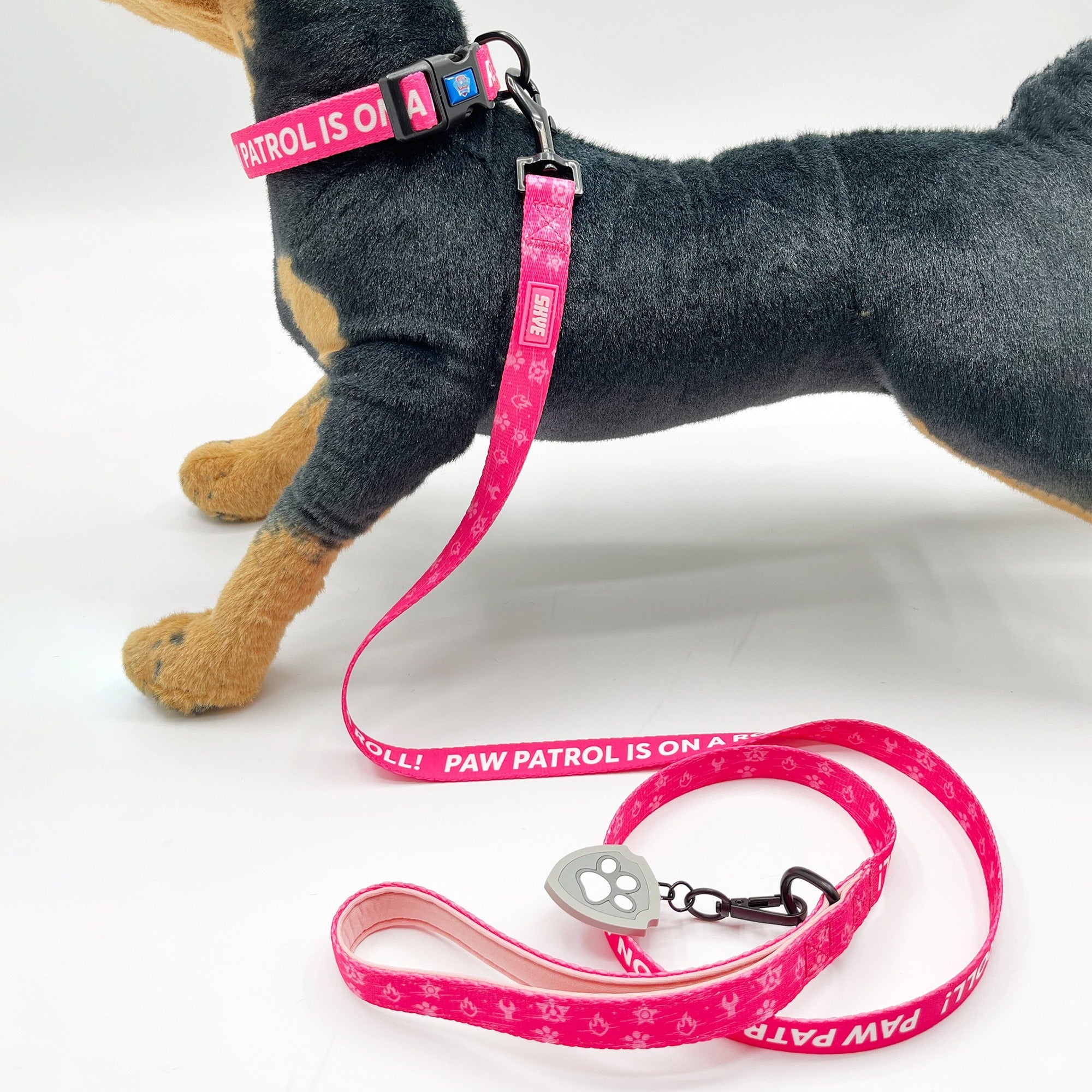 Paw Patrol: Skye Collar and Leash Set