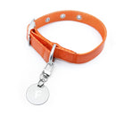 florence by mills Dog Appleskin Collar with Letter Tag 蘋果皮革狗狗頸帶