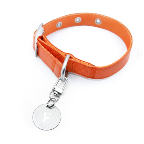 florence by mills Dog Appleskin Collar with Letter Tag 蘋果皮革狗狗頸帶