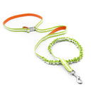 florence by mills Crossbody Dog Leash 交叉背帶式寵物拖帶