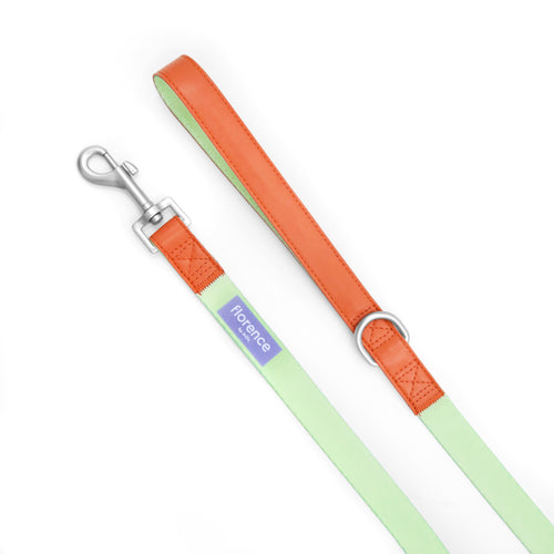 florence by mills Dog Leash 寵物拖帶