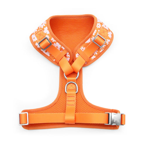 florence by mills Print Harness for Dogs 印花寵物胸背帶