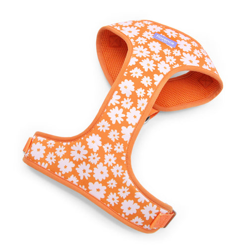 florence by mills Print Harness for Dogs 印花寵物胸背帶