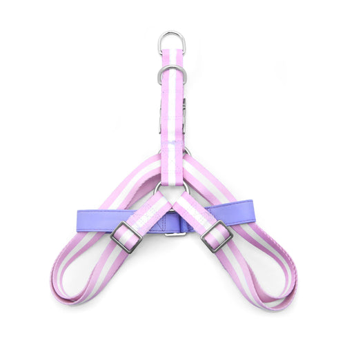 florence by mills Appleskin Leather Dog Harness 蘋果皮革寵物胸背帶