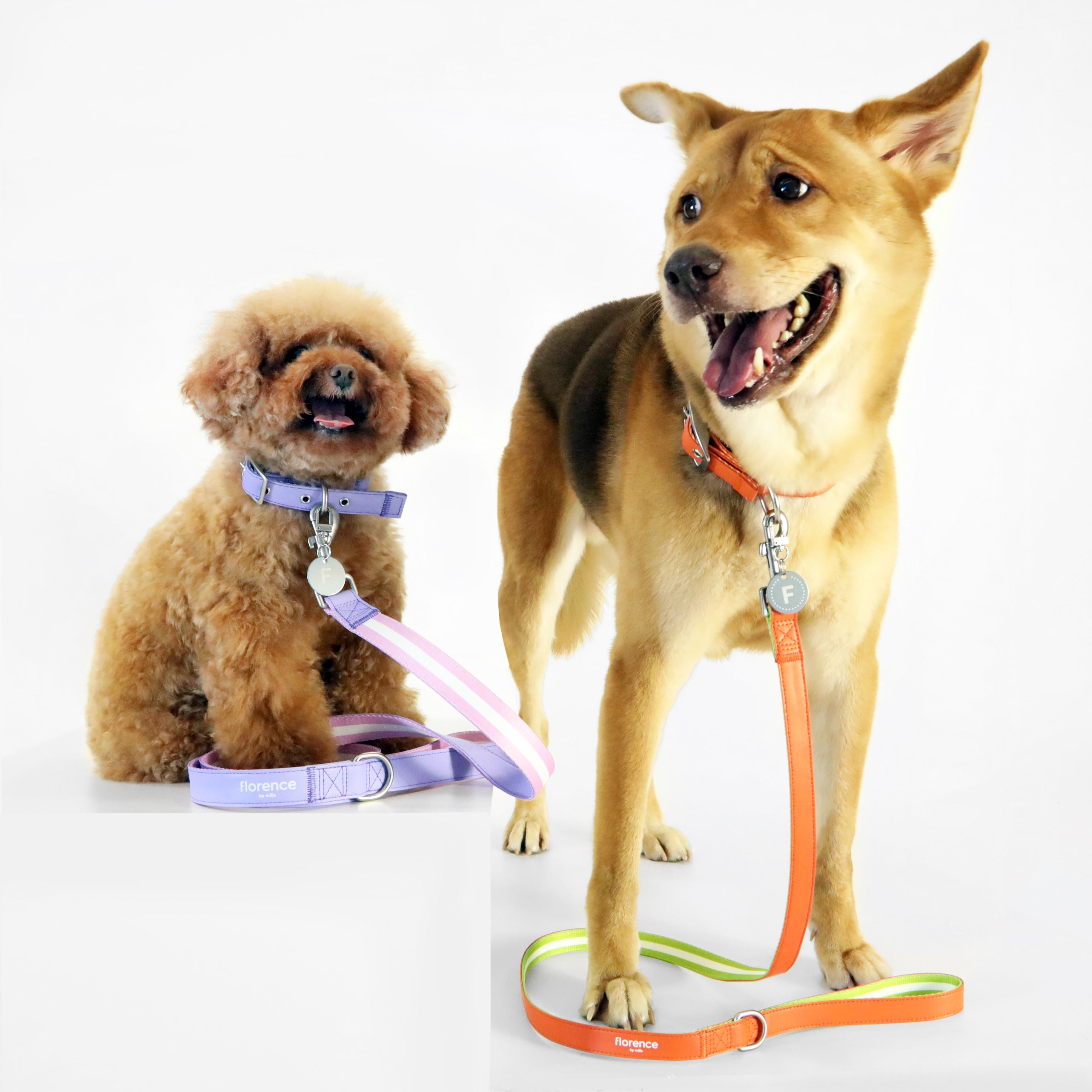 florence by mills Appleskin Leather Dog Leash 蘋果皮革寵物拖帶