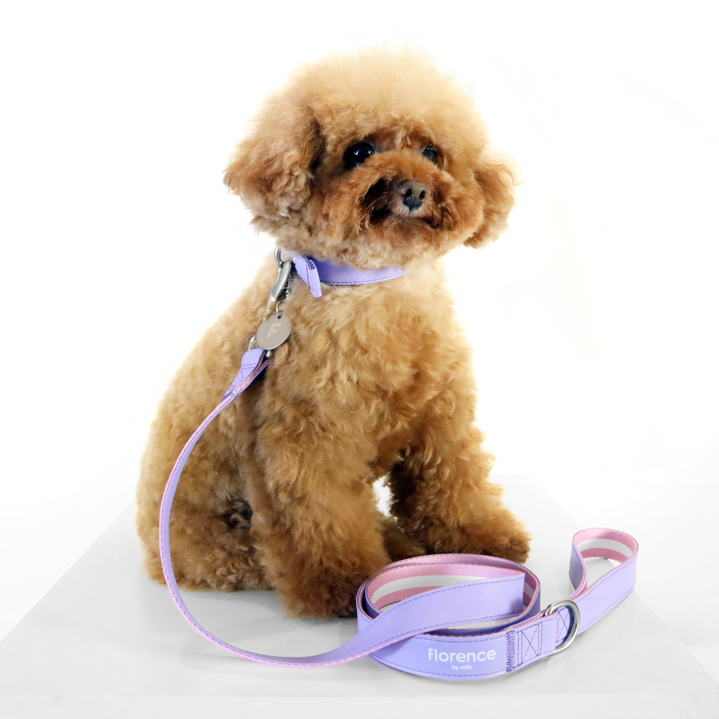 florence by mills Appleskin Leather Dog Leash 蘋果皮革寵物拖帶