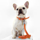 florence by mills Appleskin Leather Dog Leash 蘋果皮革寵物拖帶