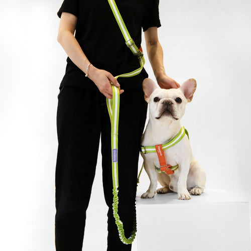 florence by mills Crossbody Dog Leash 交叉背帶式寵物拖帶