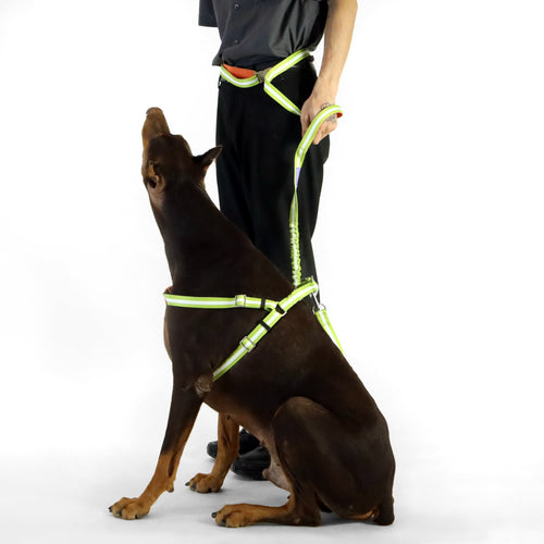 florence by mills Crossbody Dog Leash 交叉背帶式寵物拖帶