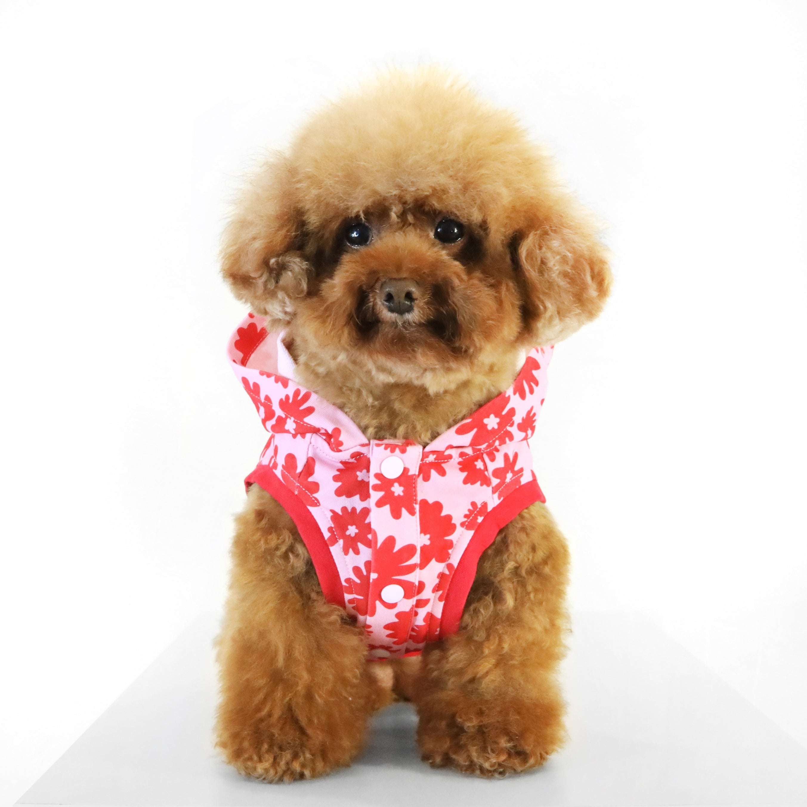 florence by mills Dog Hoodie 狗狗連帽外套