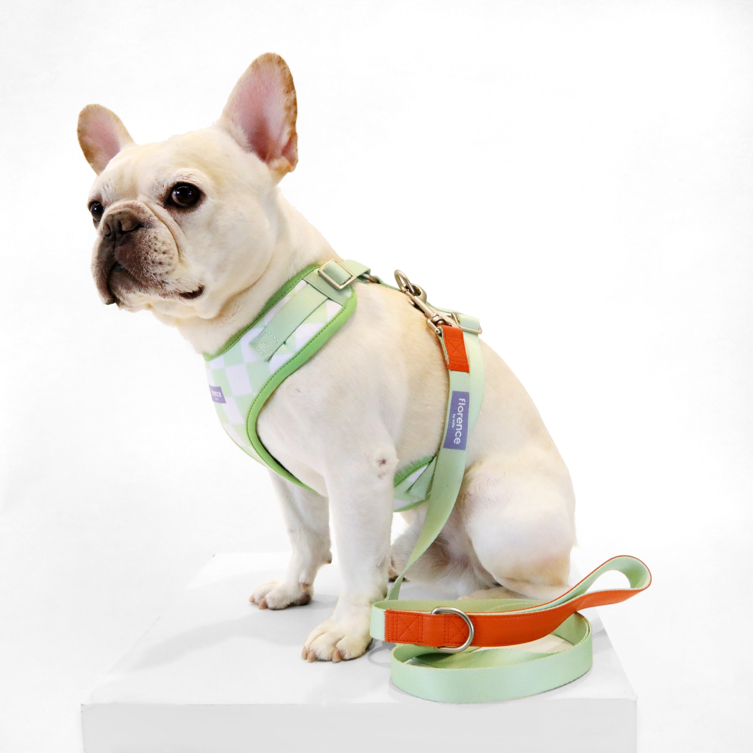 florence by mills Dog Leash 寵物拖帶