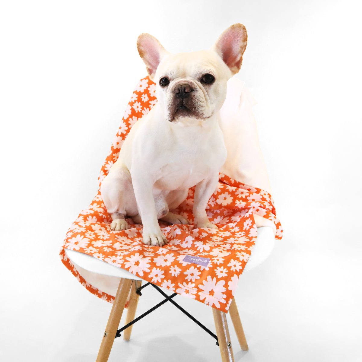 florence by mills Dog Throw Blanket