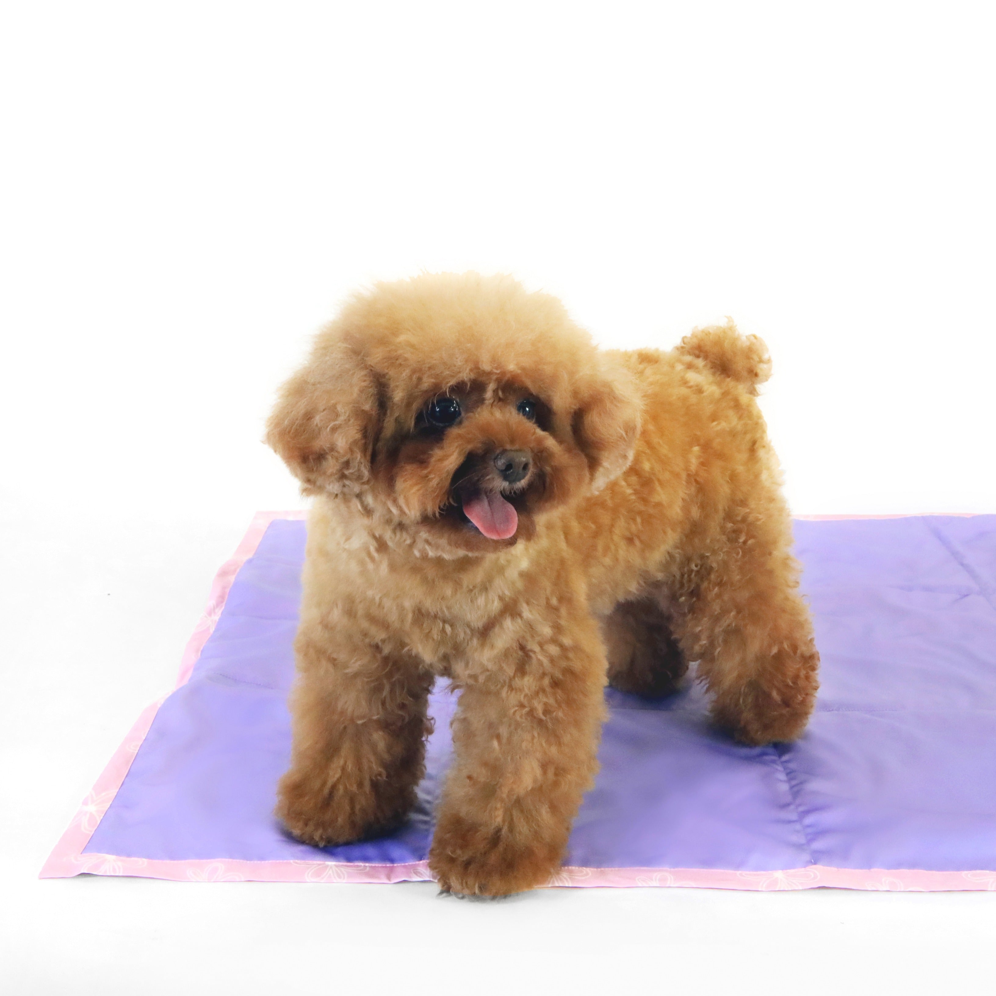 florence by mills Foldable Travel Mat for Dogs 可摺疊戶外旅行墊