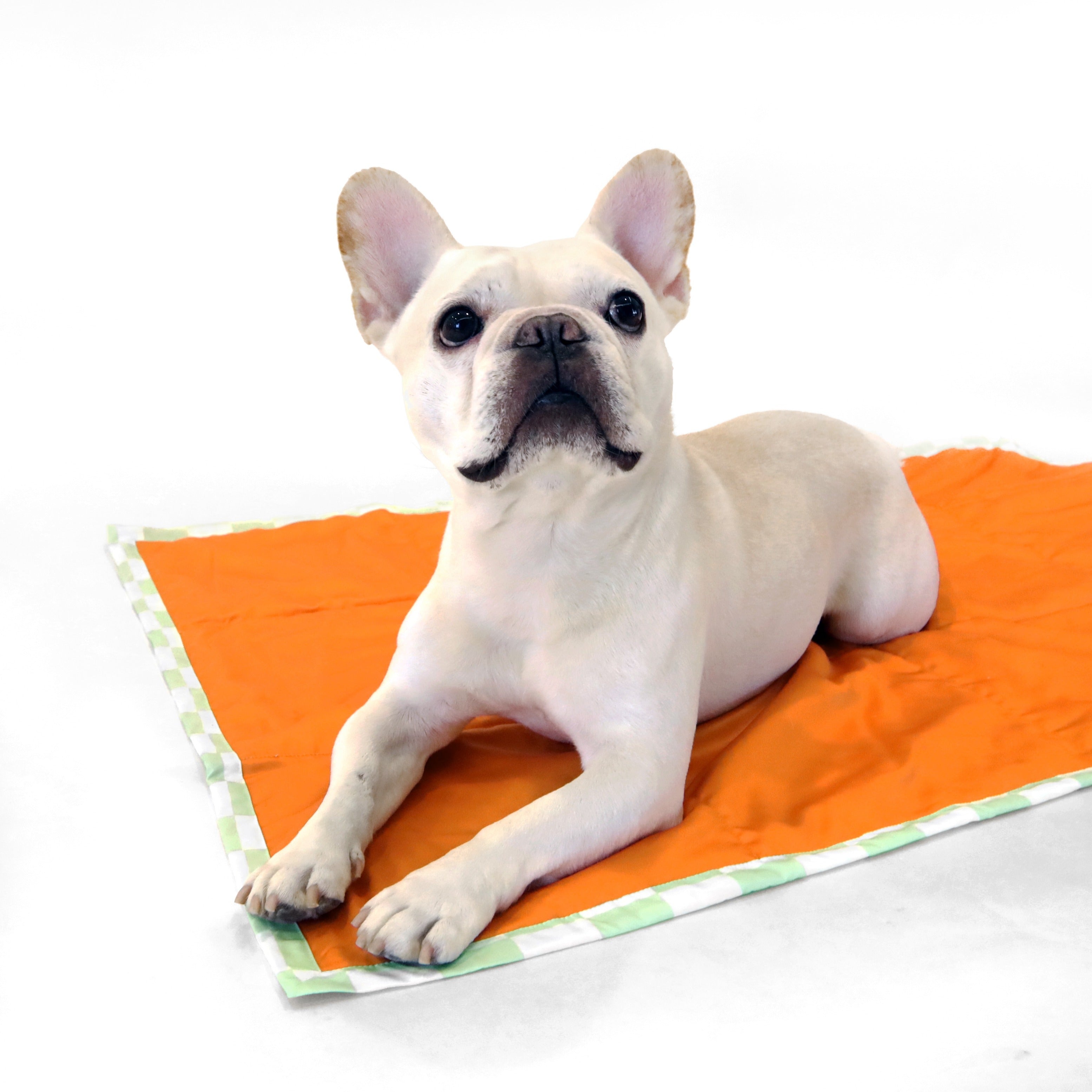 florence by mills Foldable Travel Mat for Dogs 可摺疊戶外旅行墊