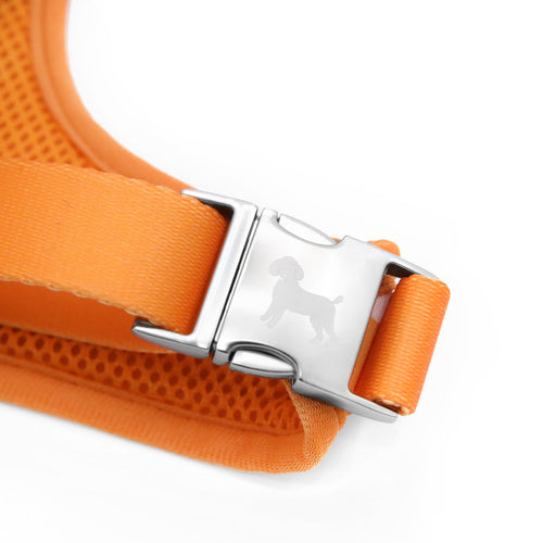 florence by mills Print Harness for Dogs 印花寵物胸背帶
