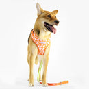 florence by mills Print Harness for Dogs 印花寵物胸背帶