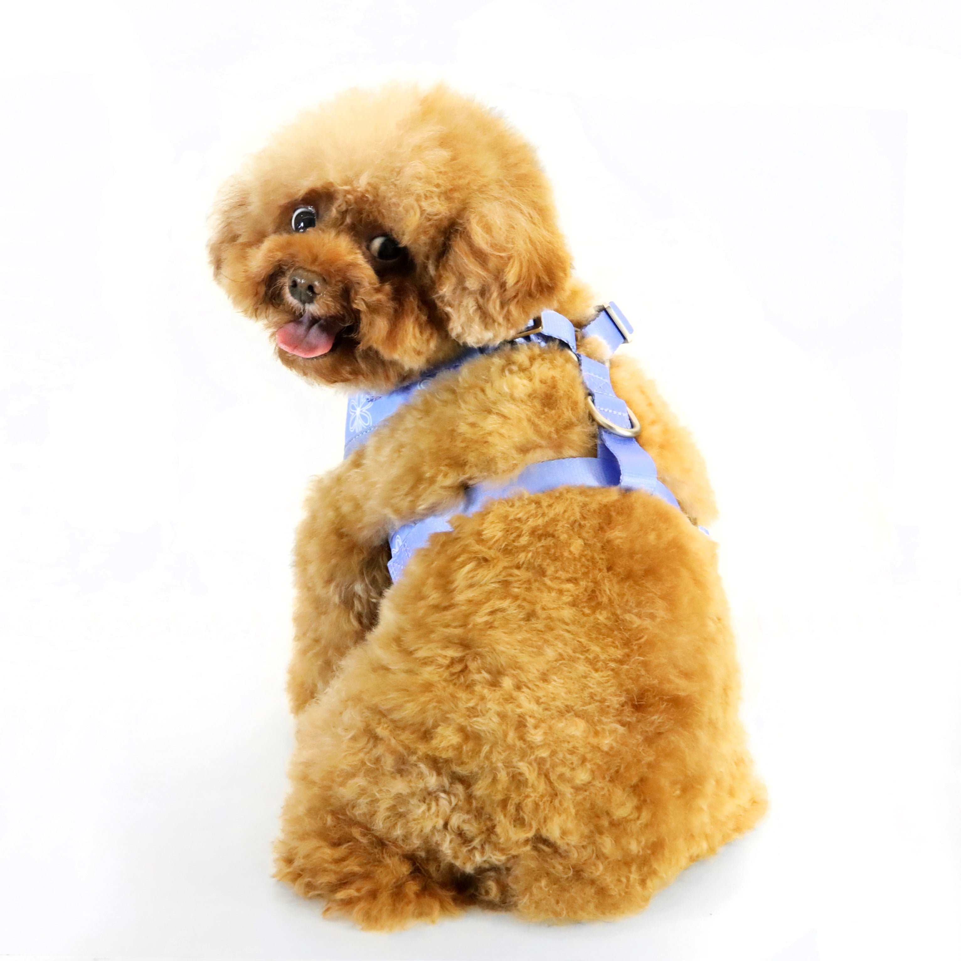 florence by mills Print Harness for Dogs 印花寵物胸背帶